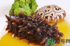 吃海參會(huì)上火嗎？經(jīng)常吃海參會(huì)上火嗎？