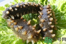 新鮮海參怎么吃最有營養(yǎng)？新鮮海參生吃最有營養(yǎng)嗎？