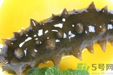 小孩能吃海參嗎？四種人不適合吃海參