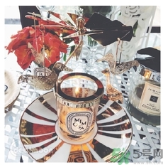 diptyque飛鳥燭臺多少錢？diptyque飛鳥燭臺哪里買？