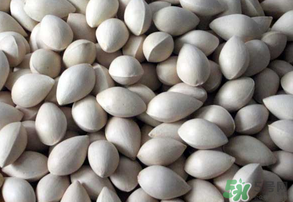 吃白果有什么好處和壞處？吃白果有什么作用？