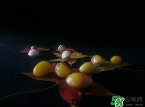 白果可以放微波爐嗎？白果放微波爐轉(zhuǎn)幾分鐘？