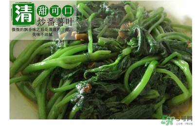紅薯葉哺乳期可以吃嗎？紅薯葉產(chǎn)婦可以吃嗎？
