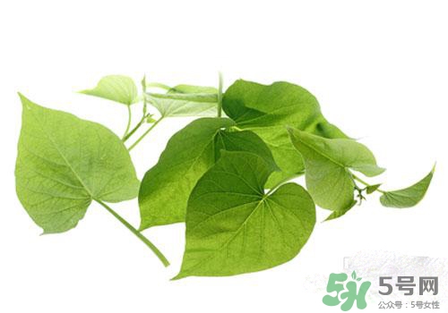 紅薯葉吃多了好嗎？紅薯葉吃多了會怎樣？