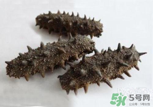 海參肚子里的筋能吃嗎？海參肚子里的筋吃了有什么作用？