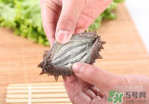 海參肚子里的筋能吃嗎？海參肚子里的筋吃了有什么作用？