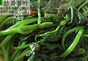 紅薯葉不能和什么一起吃？紅薯葉什么不能吃？