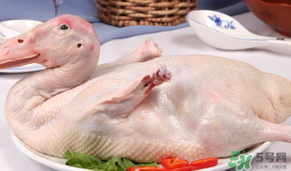 鴨肉可以放冰箱嗎？鴨肉放冰箱能保鮮多久？