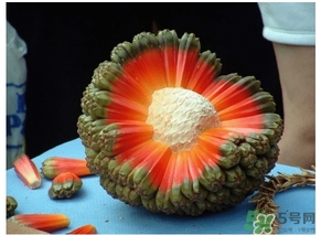 露兜果怎么吃？露兜果的功效作用