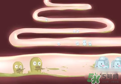 益生菌可以長(zhǎng)期吃嗎？益生菌什么時(shí)候吃比較好？