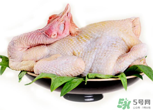 冷凍肉可以放多久？速凍肉可以放多久？
