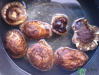 干香菇用什么水泡？干香菇用熱水還是冷水泡？
