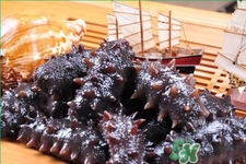腎虛能吃海參嗎？吃海參對腎好嗎？