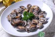 鮑魚能冷凍嗎？鮑魚可以放冰箱冷藏嗎？