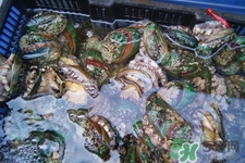 男人吃鮑魚(yú)能補(bǔ)腎嗎？腎虛能吃鮑魚(yú)嗎？