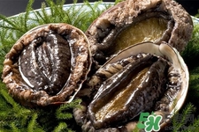 鮑魚一次最多吃幾個(gè)？鮑魚吃多了有什么不好的？
