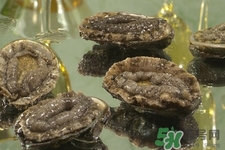 吃鮑魚要注意些什么？吃鮑魚會過敏嗎？