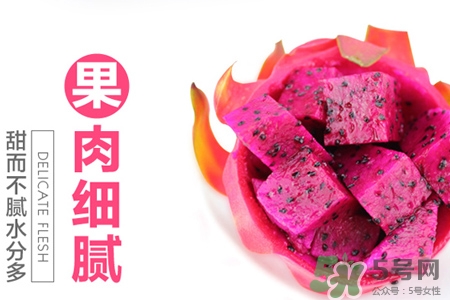 火龍果是什么季節(jié)的水果？火龍果什么時候成熟？