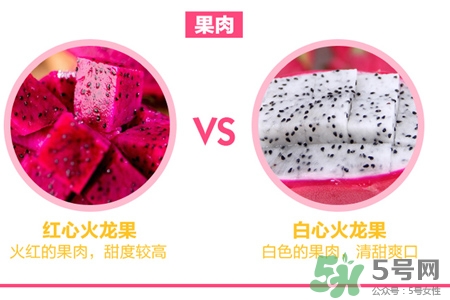 火龍果是什么季節(jié)的水果？火龍果什么時候成熟？