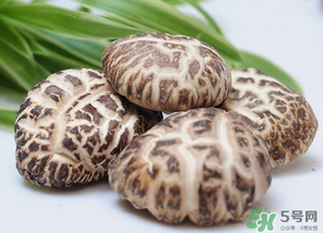 吃香菇有什么好處？吃香菇有什么壞處？