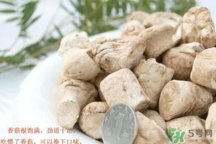 香菇根能吃嗎？香菇的根可以吃嗎？