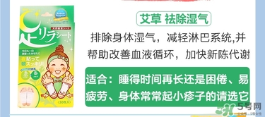 樹之惠足貼5款區(qū)別？樹之惠足貼哪款好用？