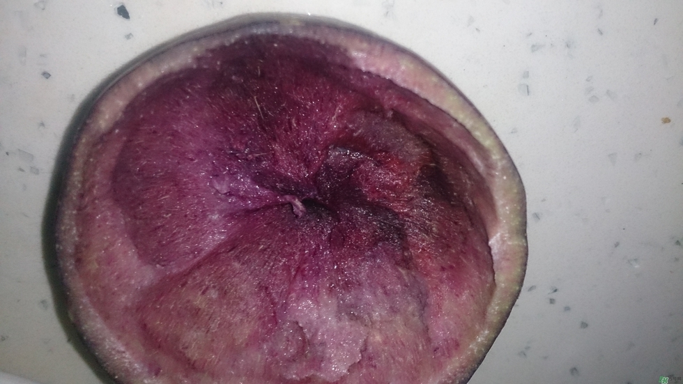 牛奶果怎么吃？牛奶果的功效與作用