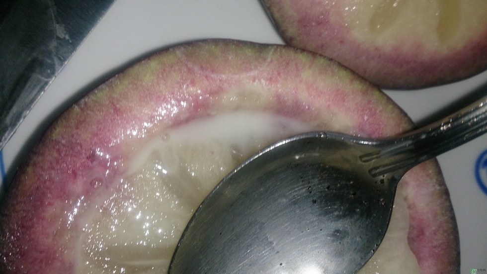 牛奶果怎么吃？牛奶果的功效與作用