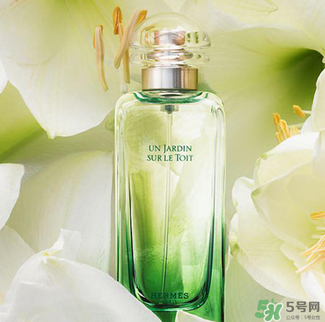 愛馬仕香水怎么看真假？愛馬仕香水真假鑒別圖