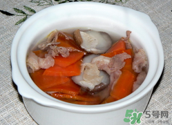雞肉能和胡蘿卜一起吃嗎？雞肉和蘿卜可以一起吃嗎？