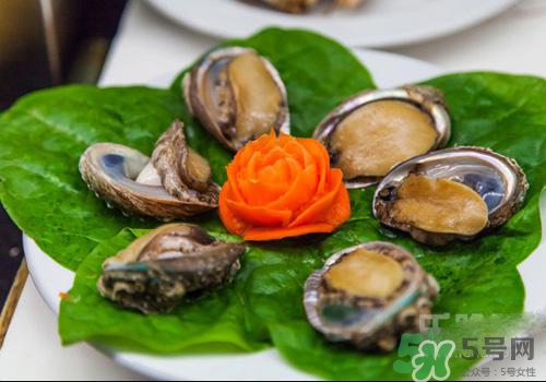 鮑魚是熱性還是涼性？鮑魚是寒性食物嗎？