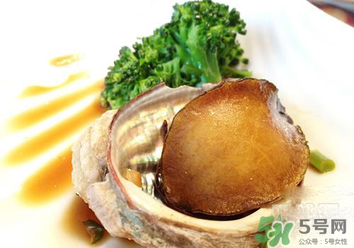鮑魚是熱性還是涼性？鮑魚是寒性食物嗎？