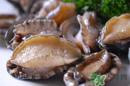 寶寶能吃鮑魚嗎？寶寶多大可以吃鮑魚？