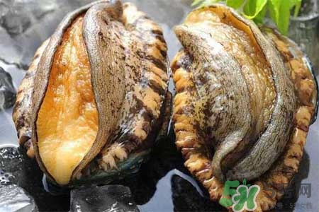 鮑魚什么部位不能吃？吃鮑魚的禁忌