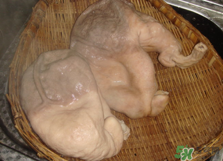 豬大腸怎么清洗？豬大腸怎么去臭味？