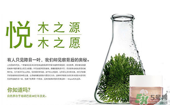 origins悅木之源適合什么年齡？悅木之源適合什么膚質(zhì)？