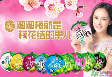 溜溜梅是梅花結(jié)的果嗎？溜溜梅的功效作用