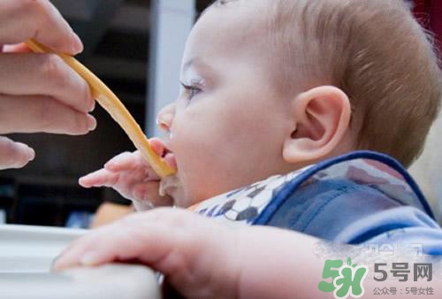 6個(gè)月的寶寶可以吃肉泥嗎？寶寶幾個(gè)月可以吃肉泥？