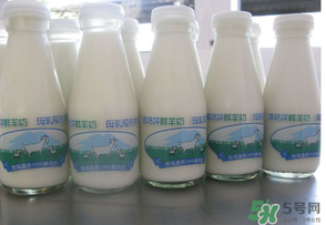 鮮羊奶可以直接喝嗎？鮮羊奶怎么喝最好？
