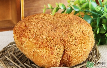 猴頭菇怎么吃？猴頭菇的功效與作用