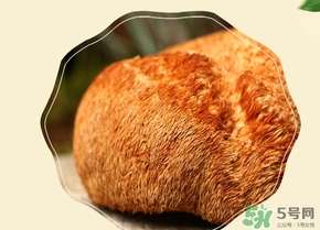 猴頭菇怎么吃？猴頭菇的功效與作用