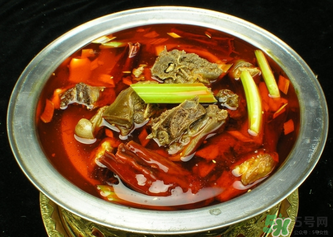 狗肉不能和什么一起吃？狗肉和什么相克？