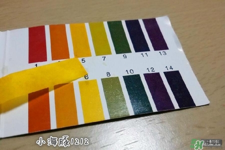 賽貝格哪里買？賽貝格哪里有專柜？