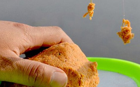 青魚怎么釣？釣青魚用什么餌料最好？