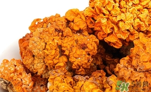 金耳的營養(yǎng)價(jià)值 金耳的功效與作用
