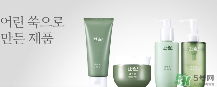 韓律艾草洗面奶多少錢(qián)？韓律艾草洗面奶專柜價(jià)格