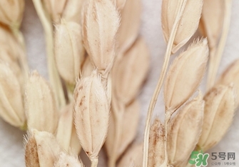 韓律適合什么膚質(zhì)？韓律適合敏感肌膚嗎？