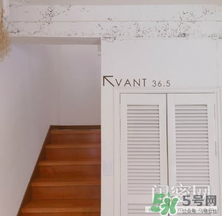 vant氣墊粉底霜怎么樣？vant36.5粉霜粉膏好用嗎？