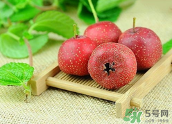 新鮮山楂什么時候上市？新鮮山楂什么時候成熟？