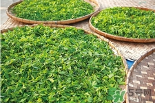 冬天可以喝綠茶嗎？冬天喝綠茶好還是紅茶好？